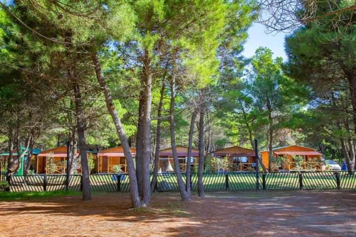 הוילה אולסינץ' Saranda Beach Bungalow מראה חיצוני תמונה