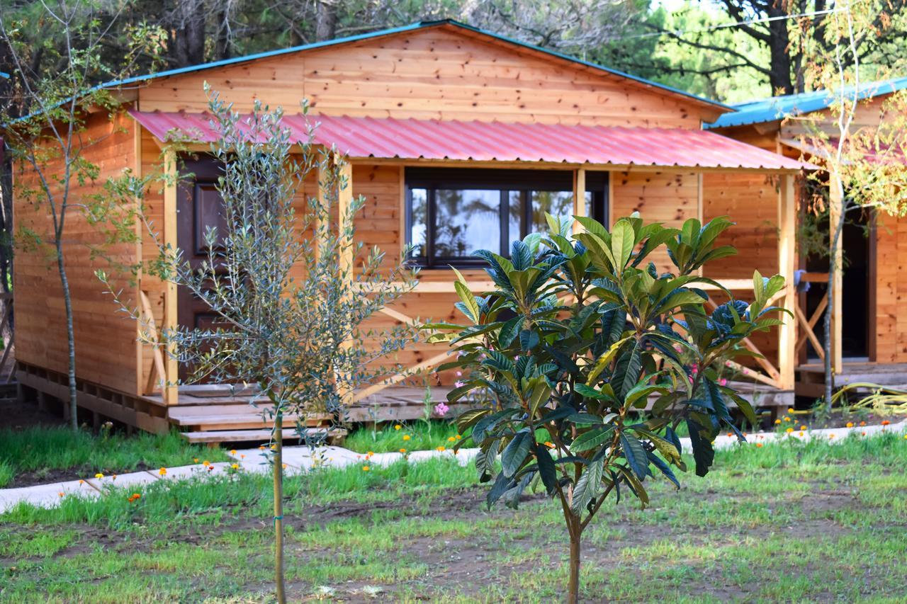 הוילה אולסינץ' Saranda Beach Bungalow מראה חיצוני תמונה