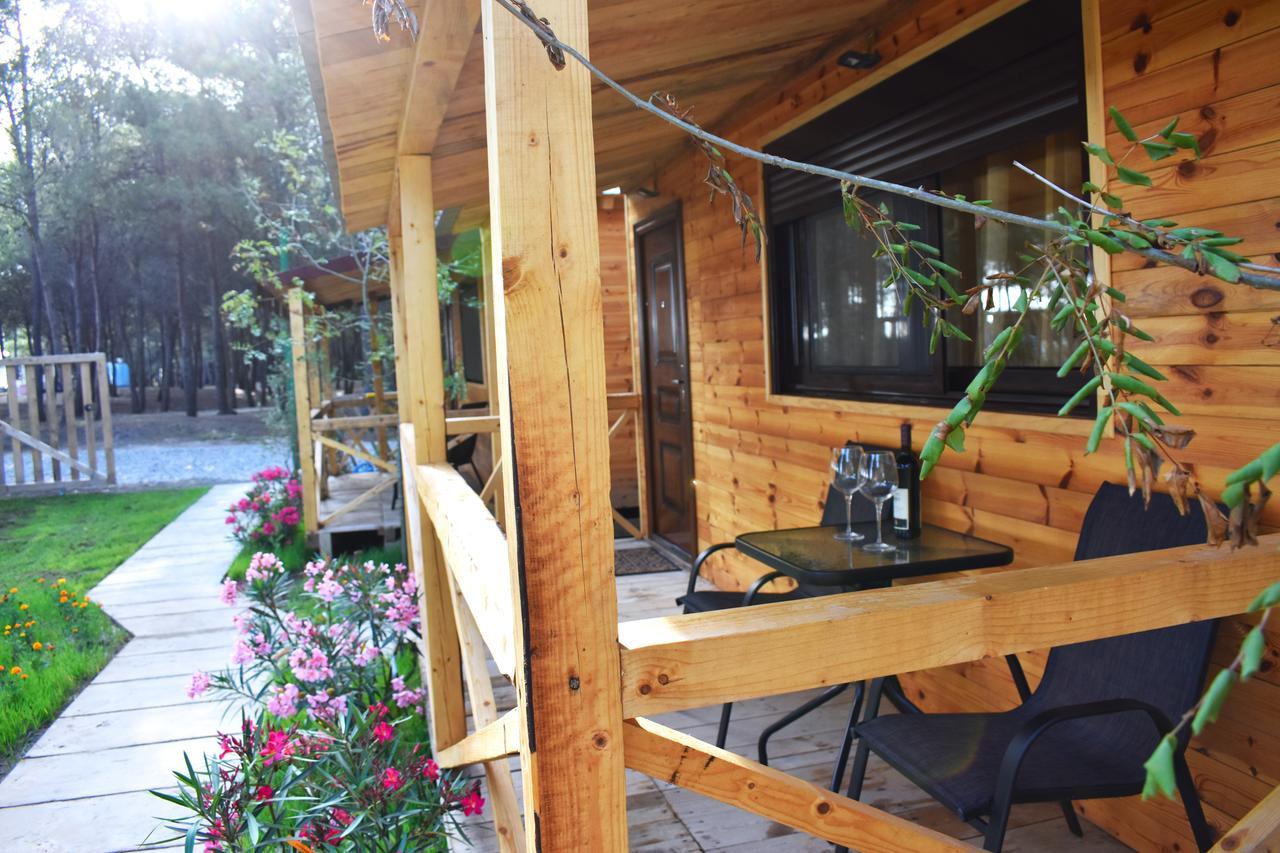 הוילה אולסינץ' Saranda Beach Bungalow מראה חיצוני תמונה
